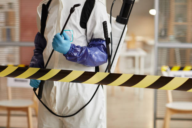 Professional Blood Cleanup technician working in Maple Valley, WA